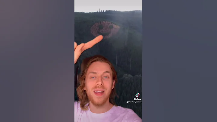 Giant Smiley Face in Oregon Forest! #shorts