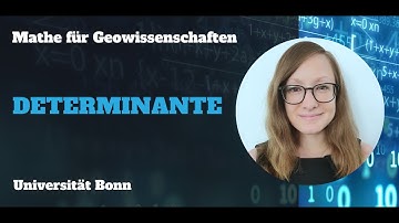 Determinanten: Geometrische Einführung