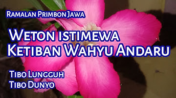 Weton istimewa ketiban Wahyu Andaru, pemilik Wahyu pangkat dan kekayaan, Tibo lungguh Tibo Dunyo.