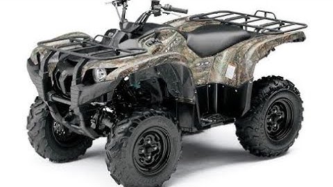 Yamaha grizzly won’t start or run right! Found the problem Cecil’s relatives is the problem