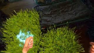Godot XR Game Jam 3