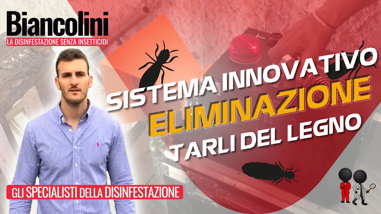 Tarli del legno sulle travi? guarda questo sistema innovativo per ... Disinfestazione tarli fai da te