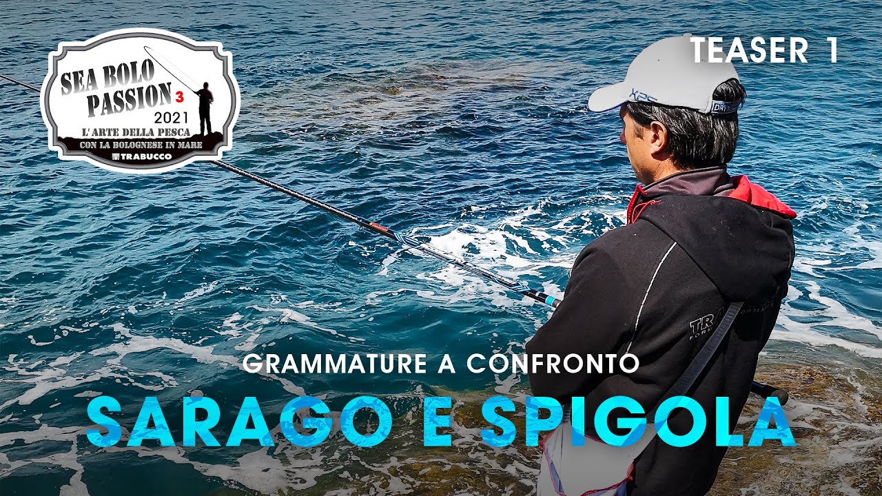 Pesca a Bolognese in mare Grammature a Confronto Sea Bolo Passion S3T1 trabuccofishing Pesca a Bolognese in mare Grammature a Confronto Sea Bolo Passion S3T1 trabuccofishing