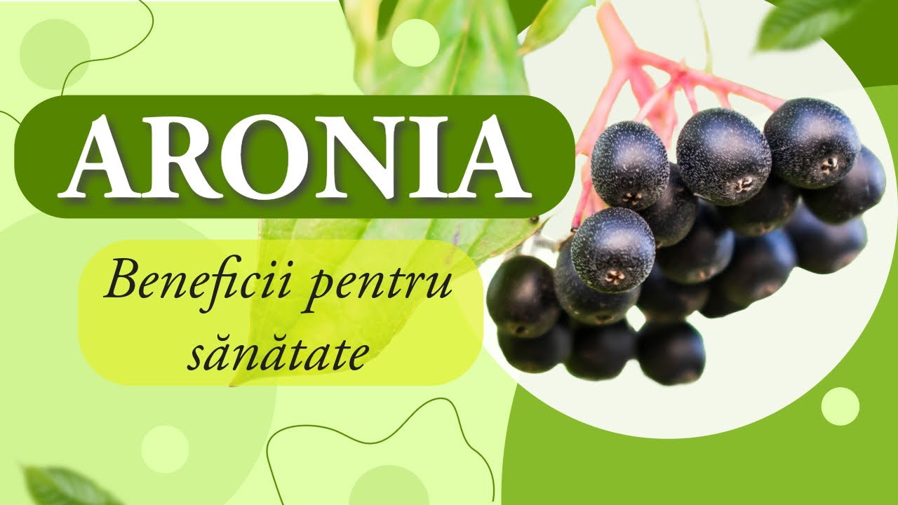 ARONIA. Beneficii surprinzătoare pentru sănătate. Care este doza optimă?