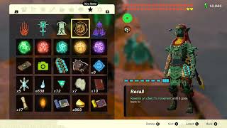 TOTK No Surface Run Proof: All* Koroks, All dungeons, All shrines, All Light Roots