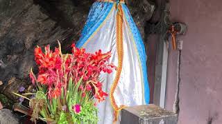Ⓜ️Amialtepec un pueblo de feⓂ️