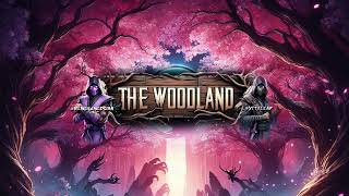 TheWoodlandMK Live Stream