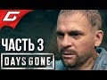 DAYS GONE (Жизнь После) ➤ Прохождение #3 ➤ ДЫМ НАД ГОРОЙ