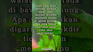Kata Bijak Islami Tentang Takdir Hidup, #shorts #islamicshorts