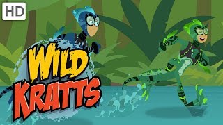 Wild Kratts  Underwater Creatures Challenge