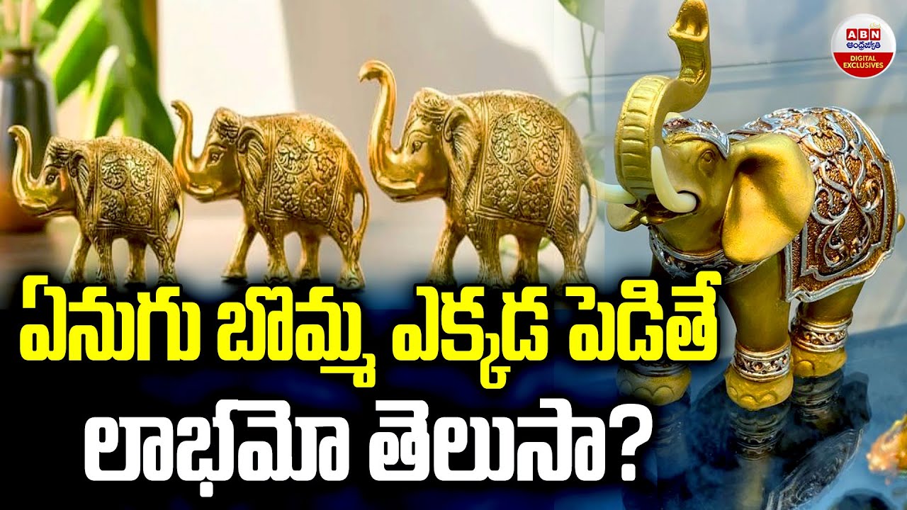 ఏనుగు బొమ్మ ఎక్కడ పెడితే లాభమో తెలుసా? Right Placement of Elephant Idol for Luck and Prosperity |ABN