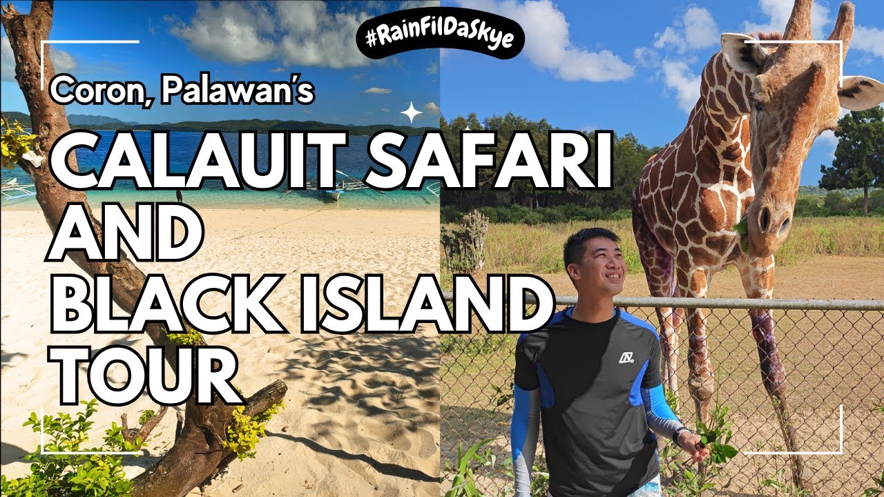 Ultimate Coron Adventure: Calauit Safari & Black Island Tour Experience