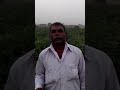 Ringan rijalat kukabbai shiyal manhar our