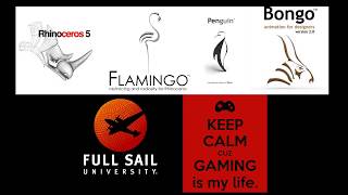 Full Sail University Brand Yourself Final Submission