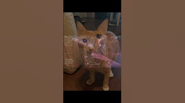 Y’all are blind. Lol 😂 #apex #apexlegends #apexlegendsclips #funny #gaming #gamer #game