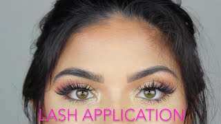 EASY Way To Master Applying False Lashes!!! | Amber Rose Oatman
I always get asked how I make applying false lashes look so easy. Today I am sharing my tips and tricks that I use on myself with all of you! Hope you guys enjoy and best of luck.
Amber
discount codes:
Brush Set
link: http://vpwow.com/amberbeauty
discount: amberbeauty 70% off, final price $30.
Luz Lashes
link: www.luzlashes.com/products/rose
discount: AMBER
Muddy Body Face Mask:
discount: amberrose
Bellami Hair Extensions:
discount code: amber EASY Way To Master Applying False Lashes!!! | Amber Rose Oatman