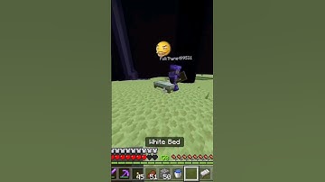 We Do A Little Trolling 💀🤣 #shorts #fyp #minecraft