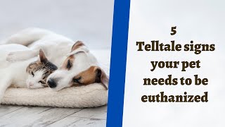 Famous Is euthanasia right for me? I 5 Telltale Signs your pet needs to be euthanized Wealth
