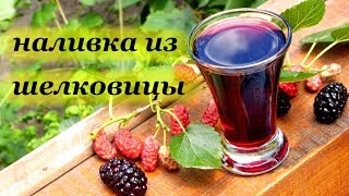 Наливка из шелковицы, вкусный авторский рецепт от Алкофана