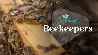 Beekeepers Arthropods The Good And The Beautiful
