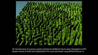 Simulation: 3D Microstructure of a Ternary Eutectic Directional Solidified Al-Ag-Cu Alloy Profile