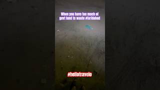 Road construction scam in Faridabad #hellotravelo