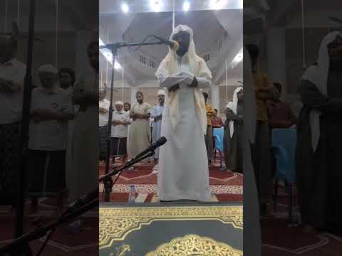 مدهامتان ناعمتان سوداوان من ريهما وشدة خضرتهما