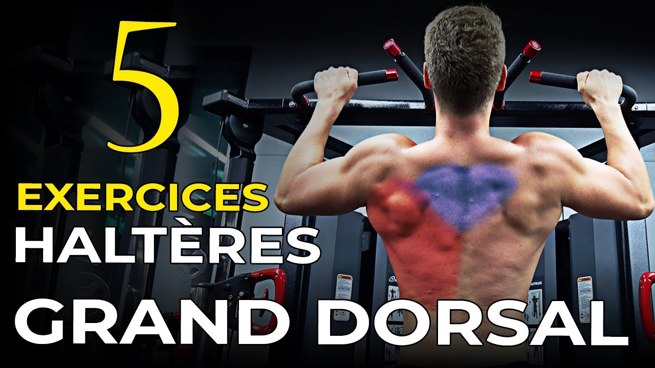 Exercice Grand Dorsal Épaule _ Grand Dorsal Übungen MFTZTR — free download