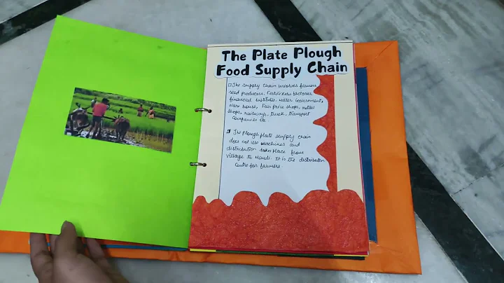 Food Supply In India | Economics Project | Class 12th | CBSE | Project With Nandini