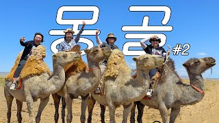 21박 22일 몽골여행2💫 전기? 샤워? 되는 게 없는 난이도 극상 여행🔥 • 고비사막 오르기 • 낙타고기 미역국 • 차강소브라가 • 욜링암