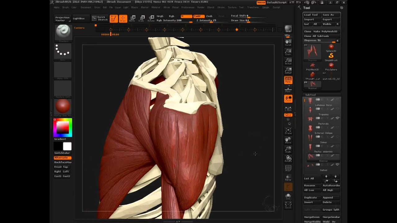 Anatomy Figure In ZBrush 4R2b - YouTube