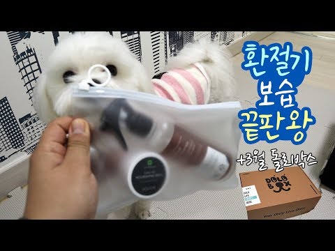 모찌의 <strong>3월</strong> 돌로박스 <strong>리뷰</strong>♡