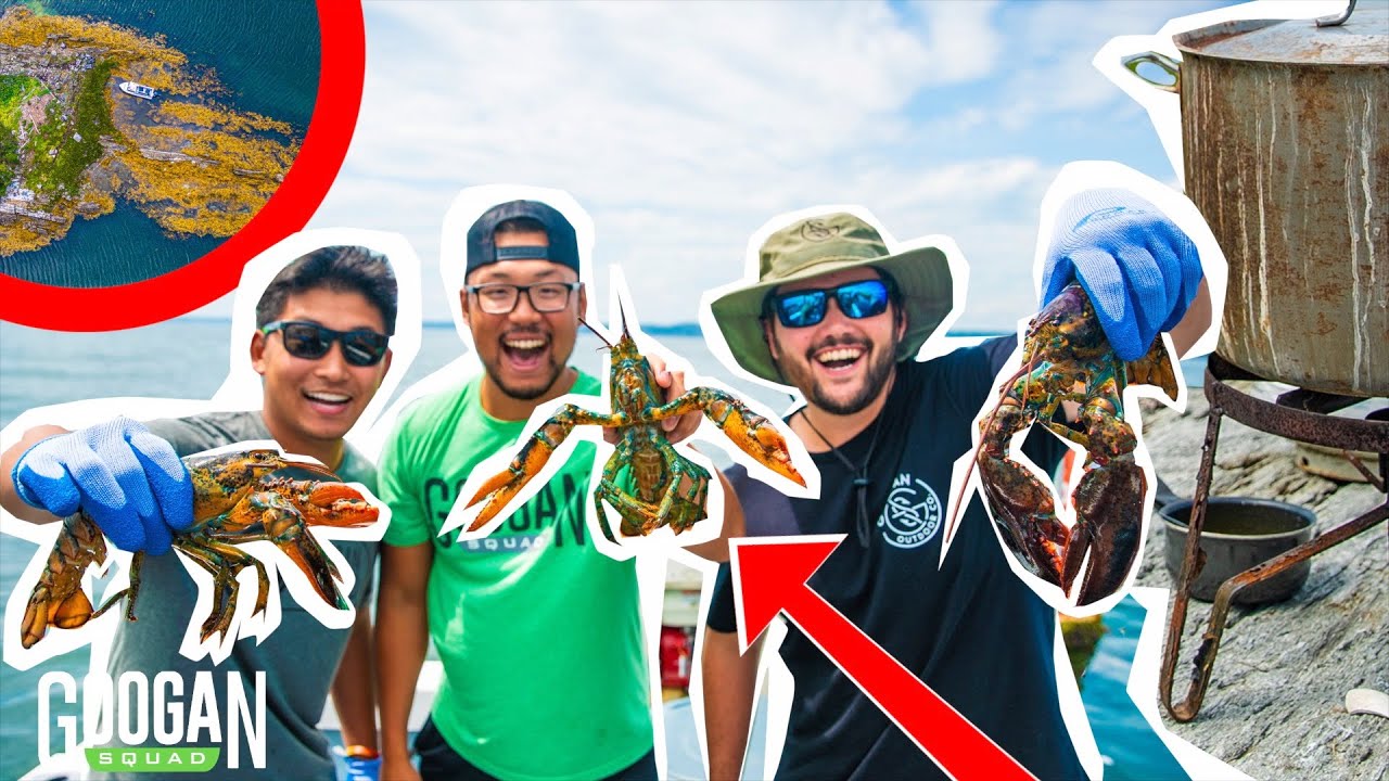 TRAPPING Giant LOBSTER! ( ISLAND CATCH CLEAN and COOK ) 
