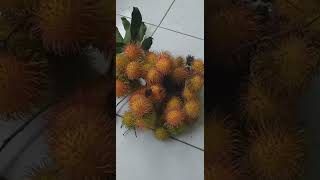 ARTI MIMPI MELIHAT BUAH RAMBUTAN #SHORTS