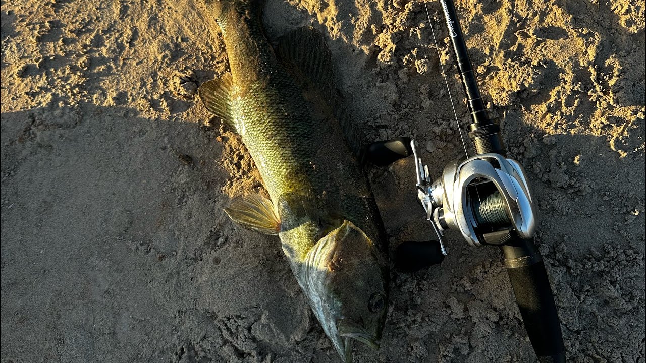 October Bass fishing – Imperial Valley Fishing