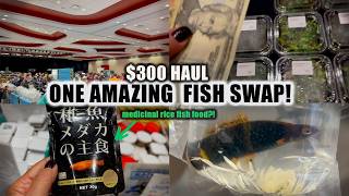 YIKES! What we got for $300 at the AMAZING Iowa QUAD CITY swap!