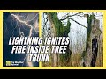 Lightning Causes Tree to Catch Fire on the Inside
