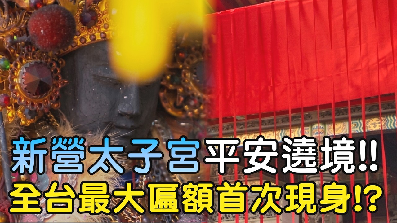 新營太子宮平安遶境!! 全台最大匾額首次現身!?｜  寶島神很大online #中壇元帥 #新營太子宮 #三太子 #遶境