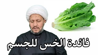 فائدة الخس لجسم الإنسان حسب ماورد عن أهل البيت عليهم السلام