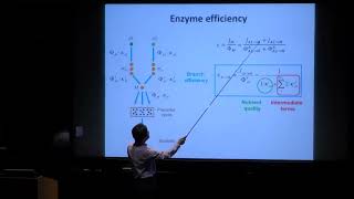 Bacteria, Stem Cells, and Fruit Flies: A Physicist in Biology - Chao Tang