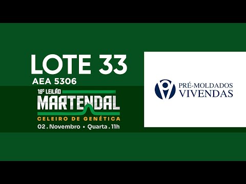 LOTE 33   AEA 5306