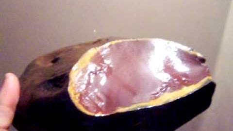 HORSE CREEK CHERT LOT KNAPPING 7.5 LBS NODULE