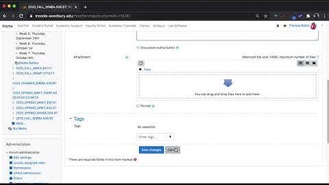 Moodle for Faculty: Sending Announcements (Now or Delayed)