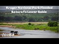 KRUGER FLOODED | Satara To Lower Sabie | Limpopo Wet Season Episode 3