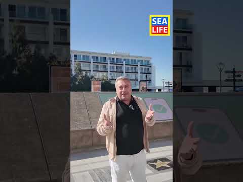 Аллея звёзд в Sea Breeze за 1 минуту! 🌟