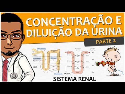 Vídeo: Durante a concentração de urina nacl é retornado?