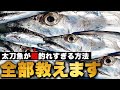 【数釣り】とにかく太刀魚の数を釣る方法!!!指7本のドラゴンも登場、絶対釣れるエサに仕掛け、誘い方など、もう全て解説いたします!!ジギングのルアーにテンヤ、!!いよいよ船タチウオシーズン開幕です!