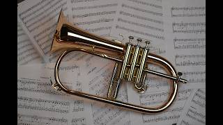 Pierce College Wind Ensemble & Concert Band