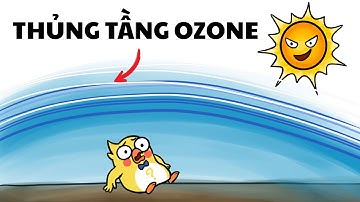 Vết Thủng Tầng Ozone Lớn Trở Lại: Nguy Cơ Nào Đang Chờ Nhân Loại?