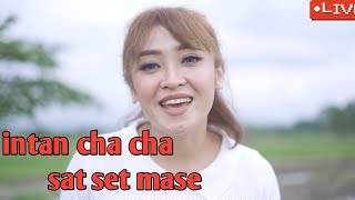 cover by intan cha cha satset mase#intan cha cha# satset mase# intan#'cha cha#satset